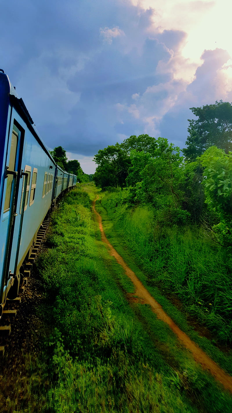 train life, green, jaffna, old, railway, sl, srilanka, track, trains, yaldewi, HD phone wallpaper