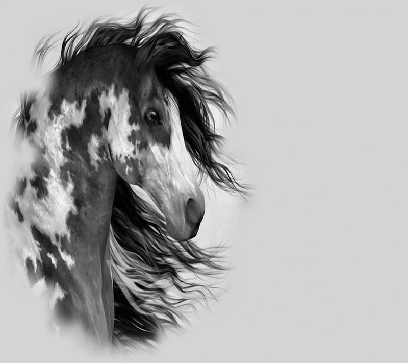 war horse, draft horse, art, horses, animal running fast, HD wallpaper