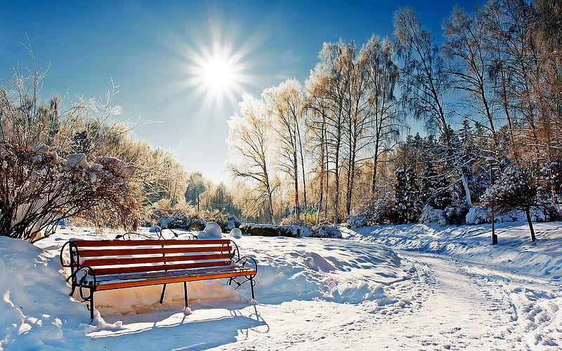 Sunny Winter Morning, bench, sun, trees, snow, sky, HD wallpaper