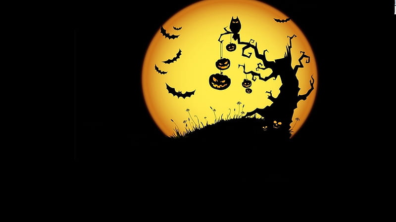 halloween [ ] for your , Mobile & Tablet. Explore Halloween . Halloween 1600 x 900, Cool Halloween for Computer, 1600X900 Halloween, HD wallpaper