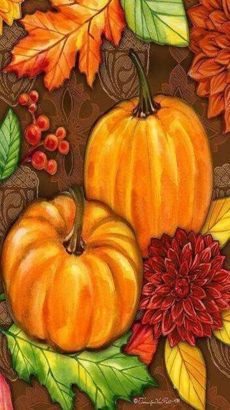 Fall Pumpkins, thanksgiving, fall, pumpkins, happy thanksgiving, fall scenes, HD phone wallpaper