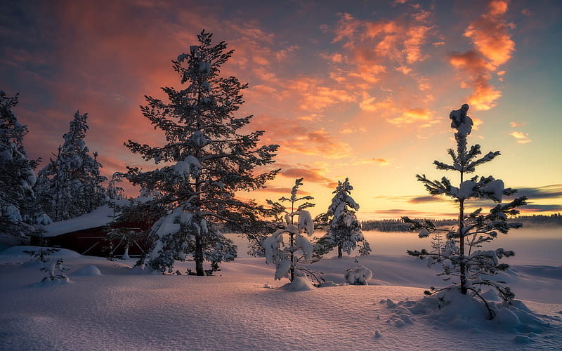 Winter Barn Sunset, sunset, trees, barn, winter, nature, HD wallpaper ...