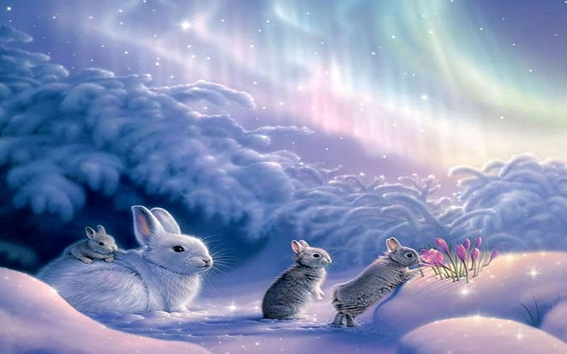 Winter, Snow, Animal, Artistic, Rabbit, Bunny, HD wallpaper