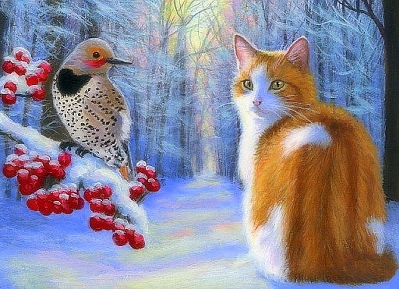 The Flicker, Christmas, draw and paint, holidays, love four seasons, cat, xmas and new year, winter, paintings, bird, snow, berries, winter holidays, woodland, animals, HD wallpaper