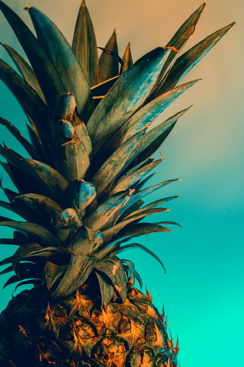 pineapple, fruit, exotic, tropical, HD phone wallpaper