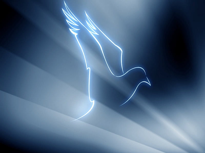 Peace to you, spirit, promise, bird, dove, abstract, light rays, blue, light, HD wallpaper