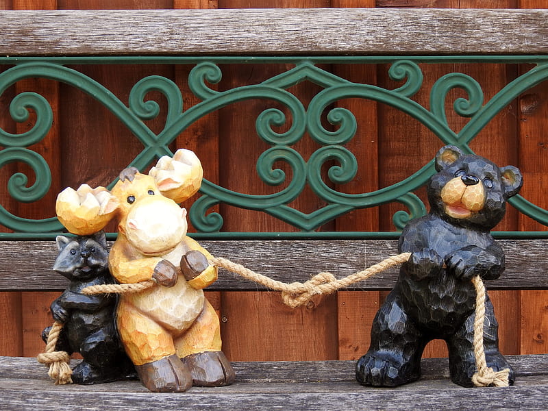 Friends Pulling Together, Garden Ornament, Bear, Moose, Abstract, Ornament, graphy, Racoon, Animals, HD wallpaper
