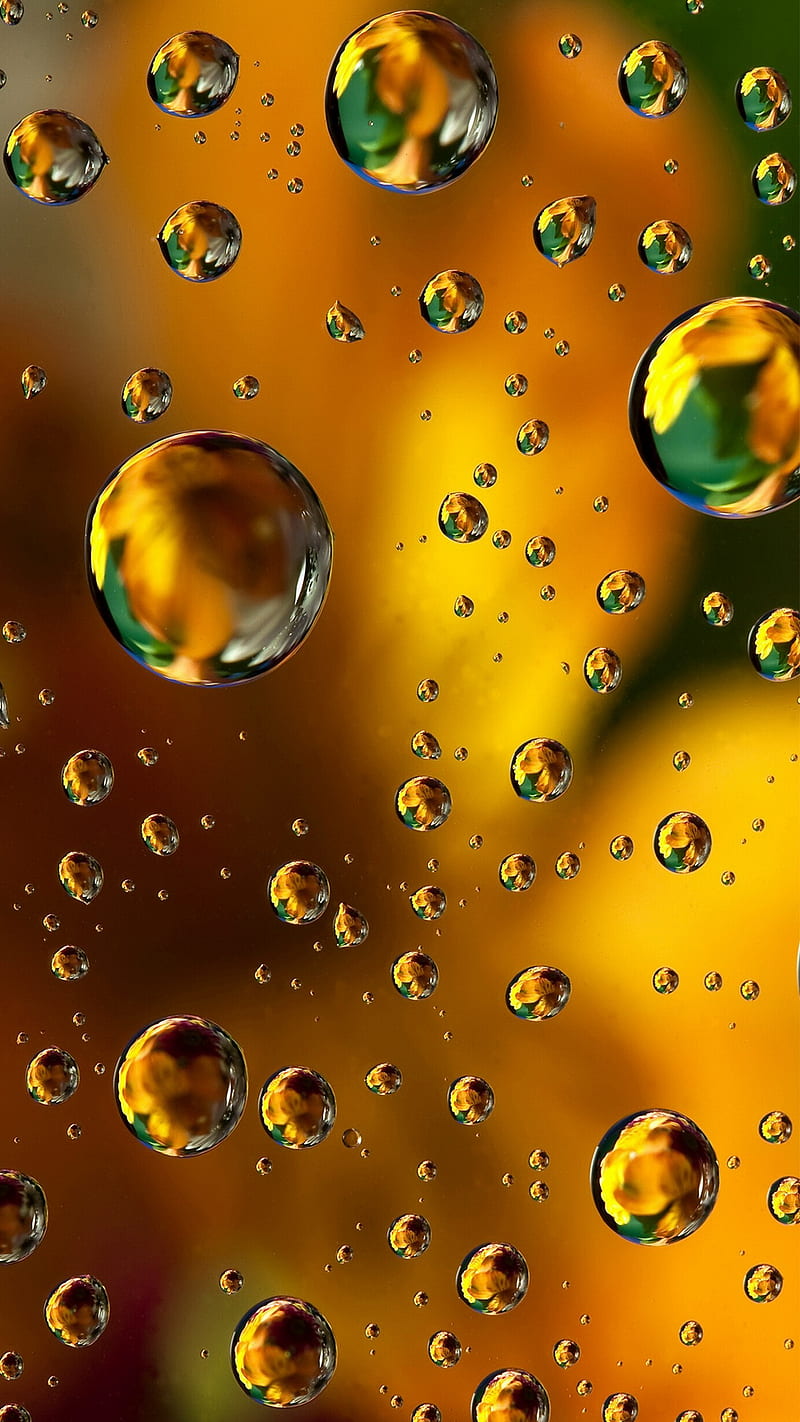 Floral Drops, golden, water, HD phone wallpaper