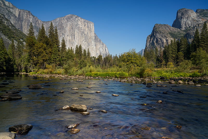 river in forest near rock formations, HD wallpaper