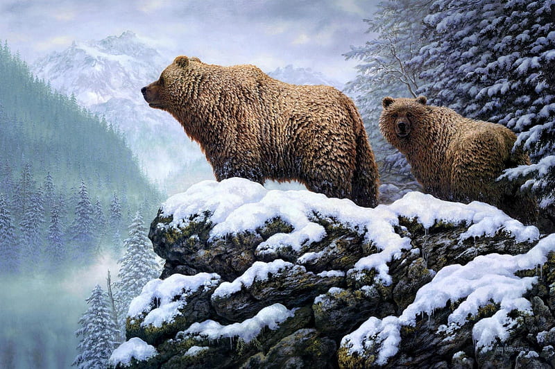 ღ.Grizzly on the Cliff.ღ, pretty, lovely, white trees, bonito, trees, winter, paintings, snow, wildlife, nature, cliff, bears, forests, HD wallpaper