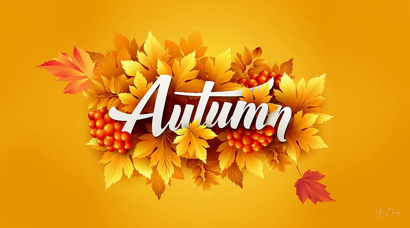 Sign of Autumn, fall, autumn, gold, leaves, orange, abstract, HD wallpaper