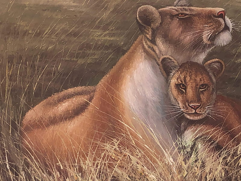Momma lion with cub, 19961996, art, attack, bonito, lioness, lions, notmine, painting, HD wallpaper