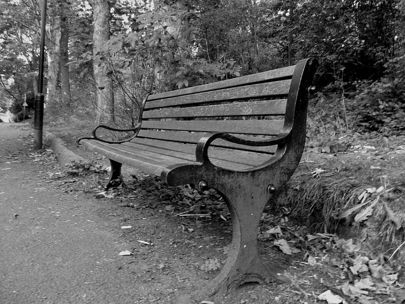 old bench black and white, memories, seat, jesmond, bench, jesmond dene, old, HD wallpaper