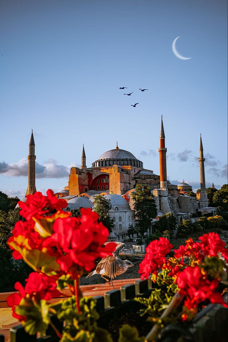 Hagia Sophia - Ayasofya. graphy tours, Istanbul graphy, Istanbul, HD ...