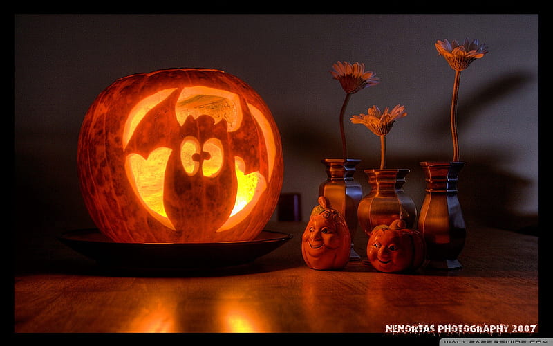 funny halloween pumpkin-Happy Halloween, HD wallpaper