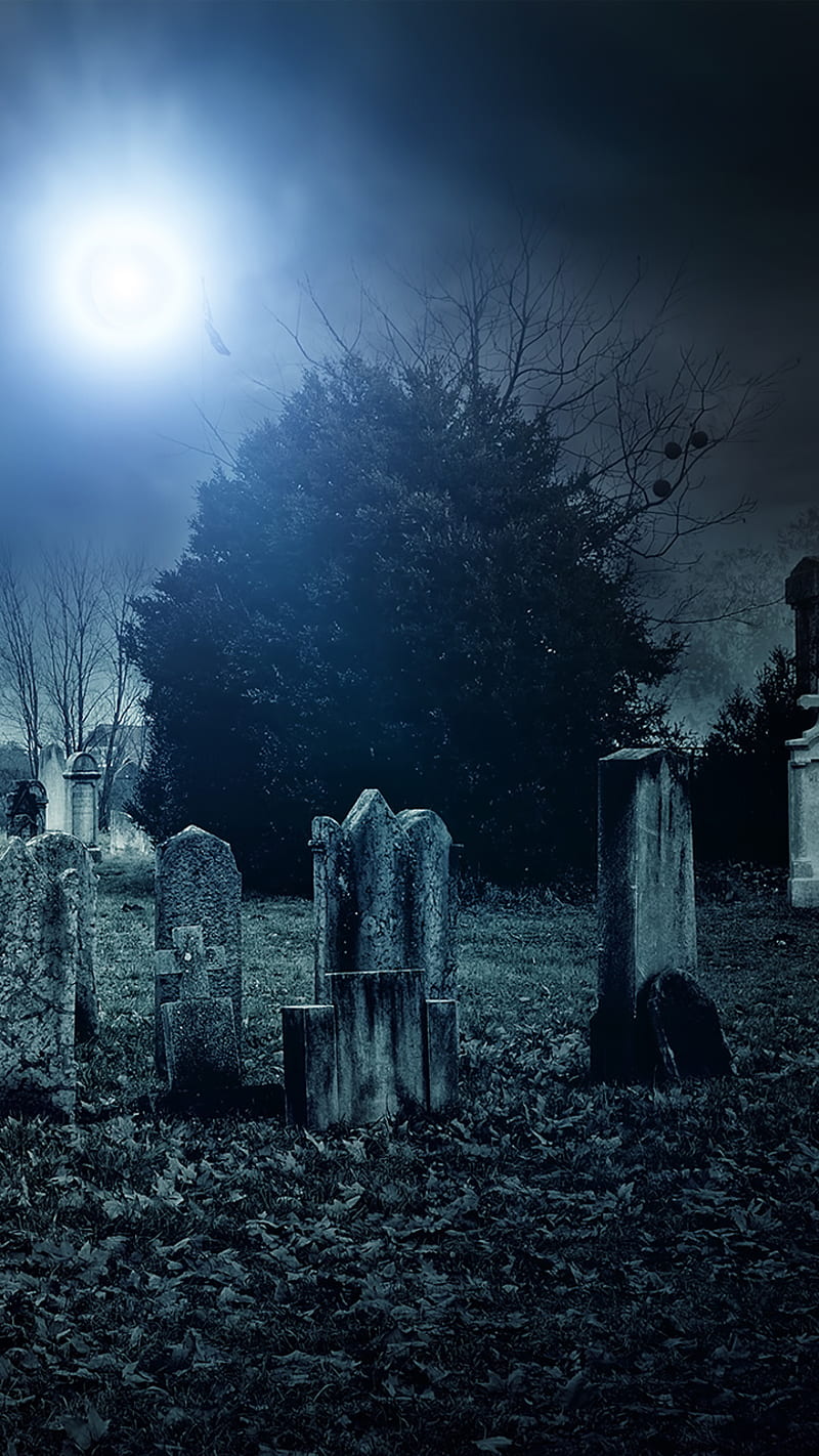 Moon, background, cemetery, nature, scary, trees, HD phone wallpaper