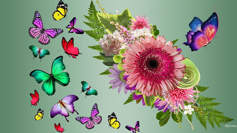 Colors of Nature, colorful, butterflies, spring, floral, ferns, dahlias, bright, summer, flowers, HD wallpaper