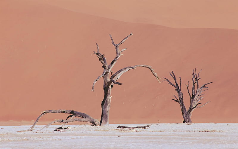 Desert Drought, sand, drought, deserts, dry, nature, arid, HD wallpaper