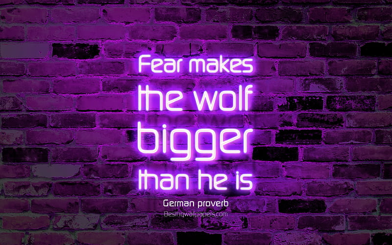 Fear makes the wolf bigger than he is violet brick wall, German proverb Quotes, neon text, inspiration, German proverb, quotes about fears, HD wallpaper