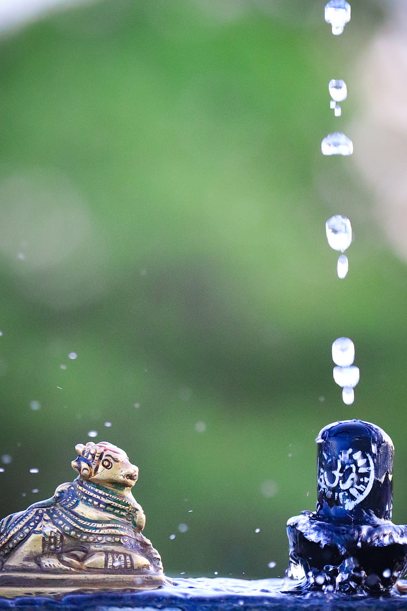 Shivji, nandi, nature, graphy, shivling, universe, water, HD phone ...