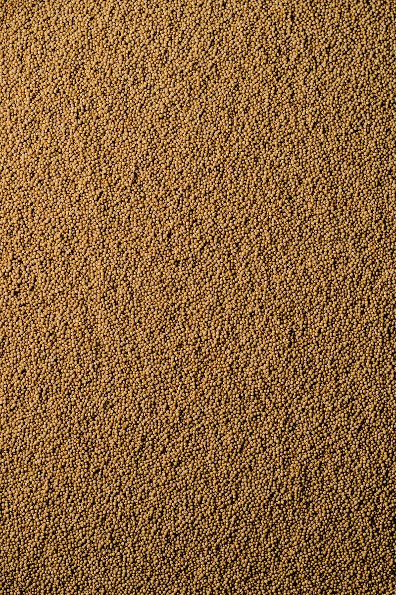Brown and Black Area Rug, HD phone wallpaper