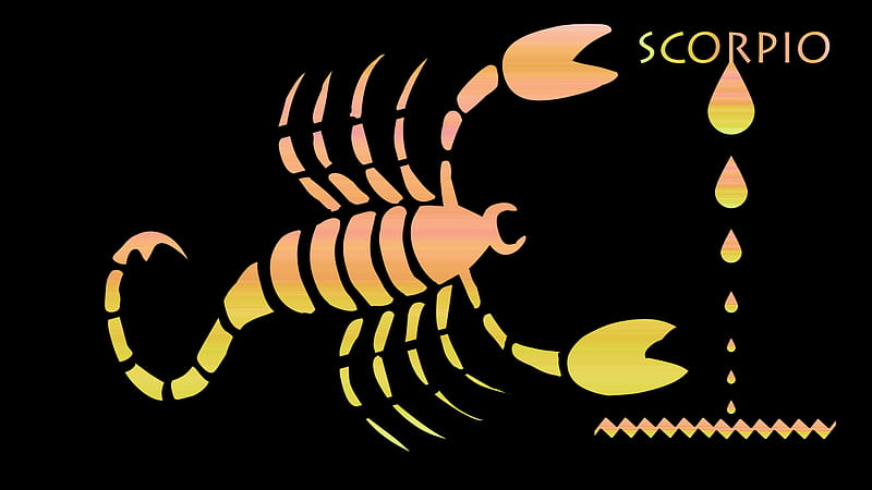 Zodiac sign - Scorpio, scorpio, water, zodiac, sign, birtay, scorpion, HD wallpaper