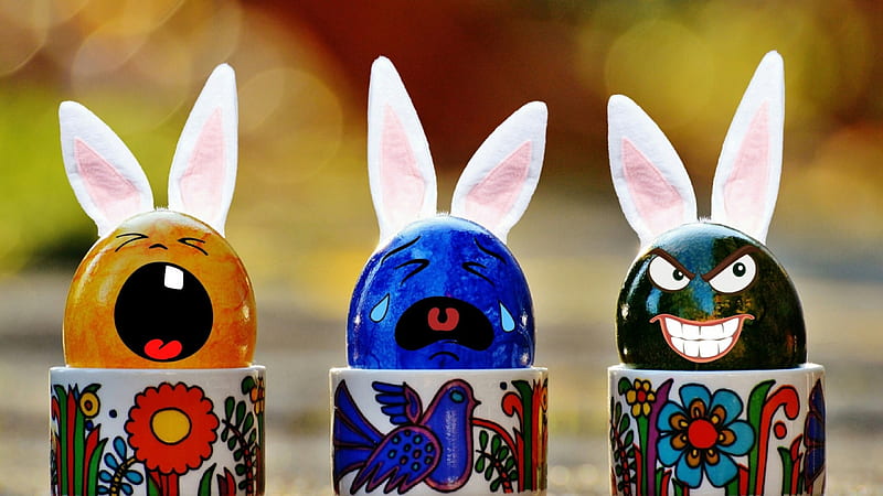 Funny eggs, rabbit, deco, orange, ears, easter, mood, egg, tears, cup, bunny, funny, cry, blue, HD wallpaper