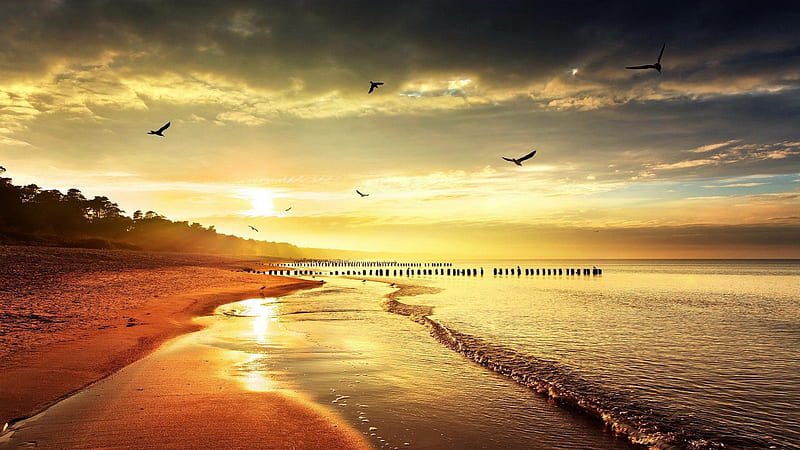 fantastic beachscape, beach, birds, sunset, pylons, sea, HD wallpaper