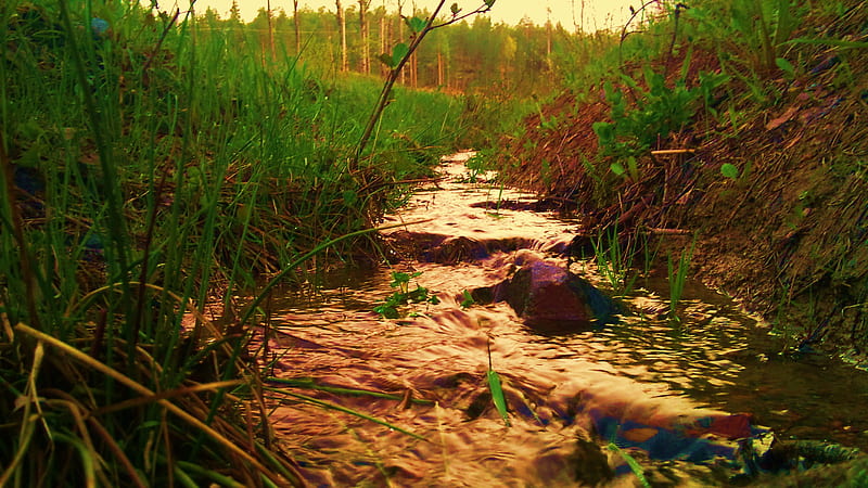 one little stream, stream, nature, water, grass, HD wallpaper