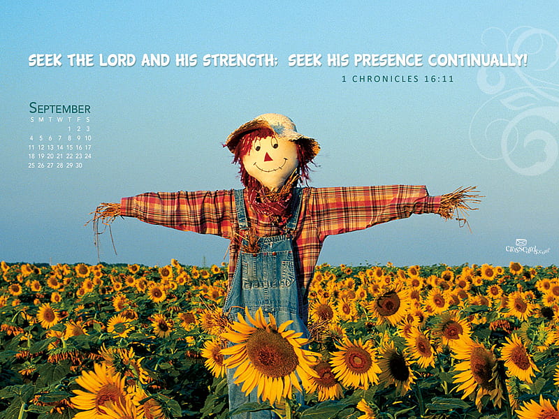 Calendar September 2011, calendar, september 2011, sunflower, scarecrow, field, HD wallpaper