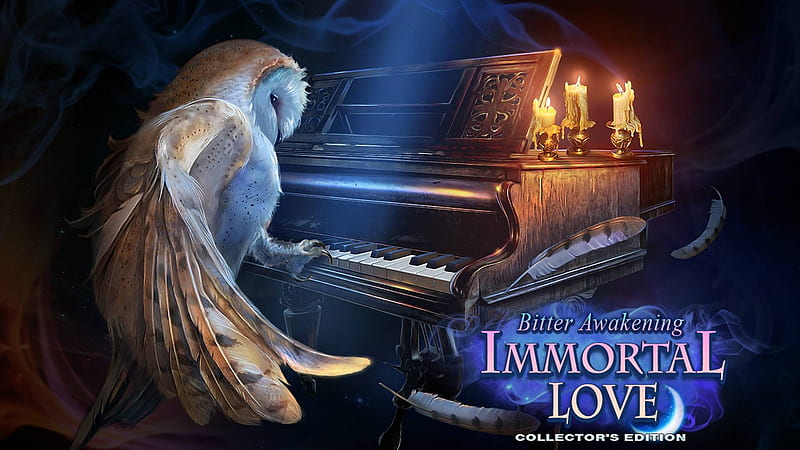 Immortal Love 6 - Bitter Awakening02, video games, fun, puzzle, hidden object, cool, HD wallpaper