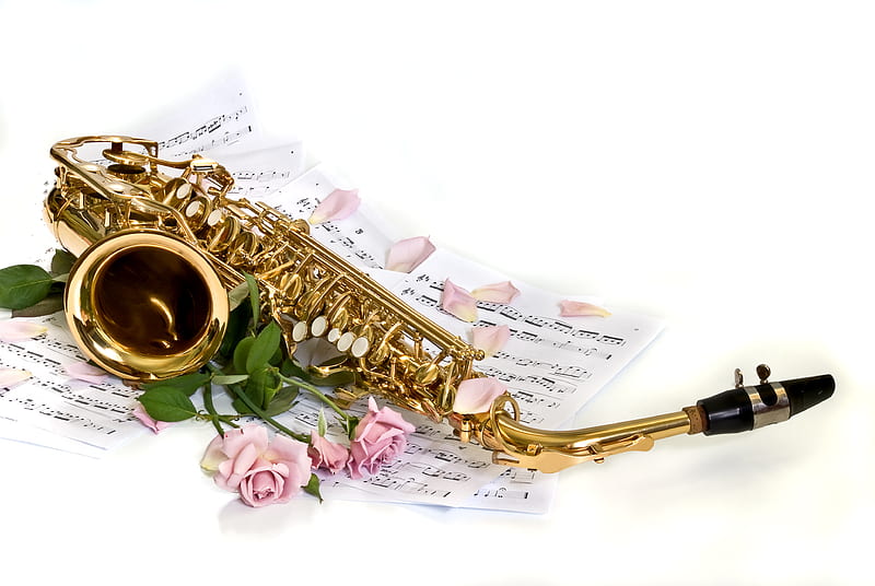 sax, musical notation, rose, bonito, still life, graphy, nice, moment, gentle, flowers, saxophone, pink romantic, music, sheet music, roses, cool, flower, petals, HD wallpaper