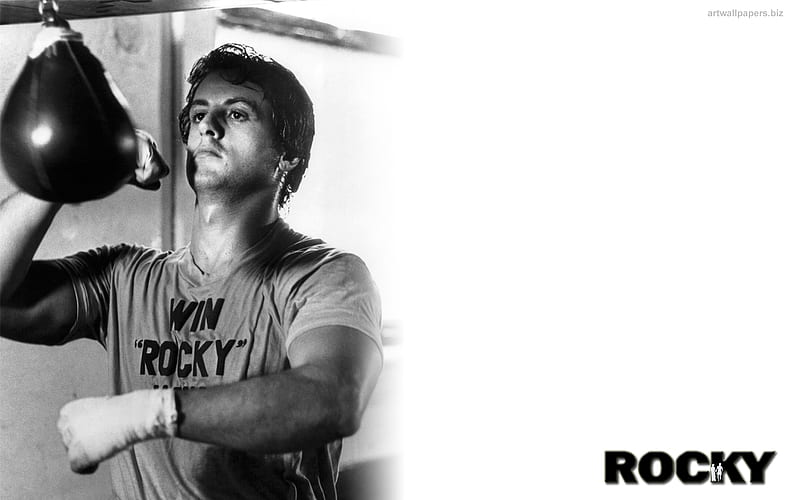 Rocky Balboa with Resolution [] for your , Mobile & Tablet. Explore Rocky . Rocky Balboa , Rocky Mountain , Rocky, Rocky 1, HD wallpaper