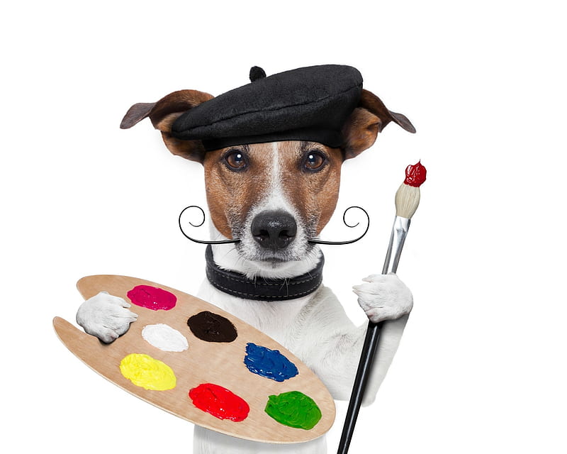 The artist, artist, moustache, paw, colors, caine, animal, hat, jack russell terrier, funny, dog, HD wallpaper
