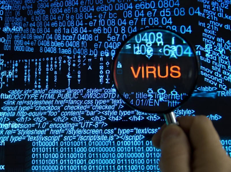 Computer Virus, cyber virus, computers, internet, virus, HD wallpaper