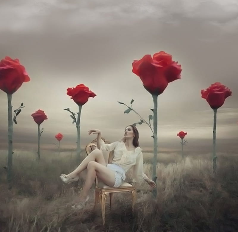 I had a dream ..., red, female, horizon, model, roses, dry land, clouds, fantasy, gold, chair, smoke, dream, vintage, HD wallpaper