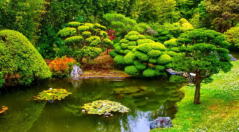 Japan garden green, garden, trees, lake, HD wallpaper