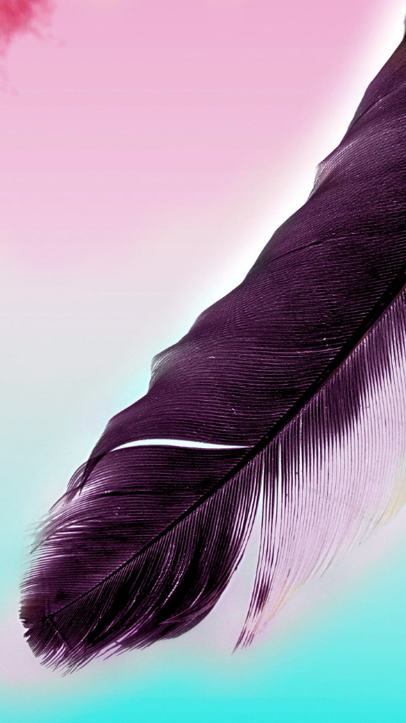 Feather, edge, feathers, gold, life, note, quill, HD phone wallpaper |  Peakpx