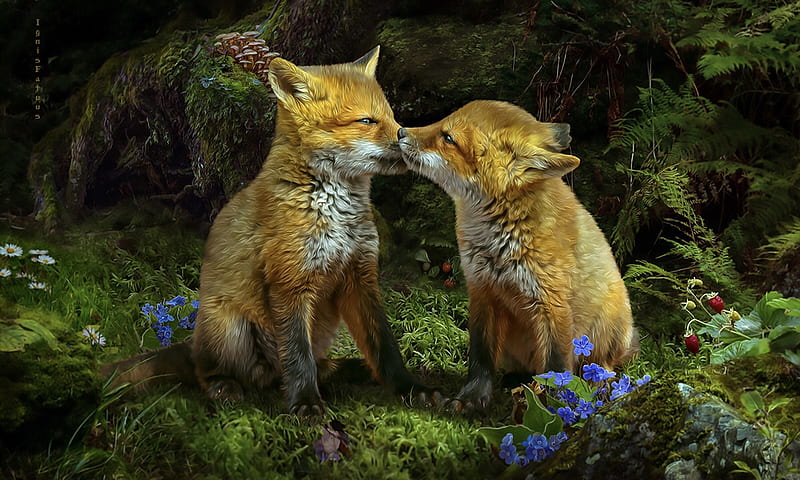 Foxlings In The Woods, Foxes, Animals, woods, Caress, forest, sweetness, HD wallpaper