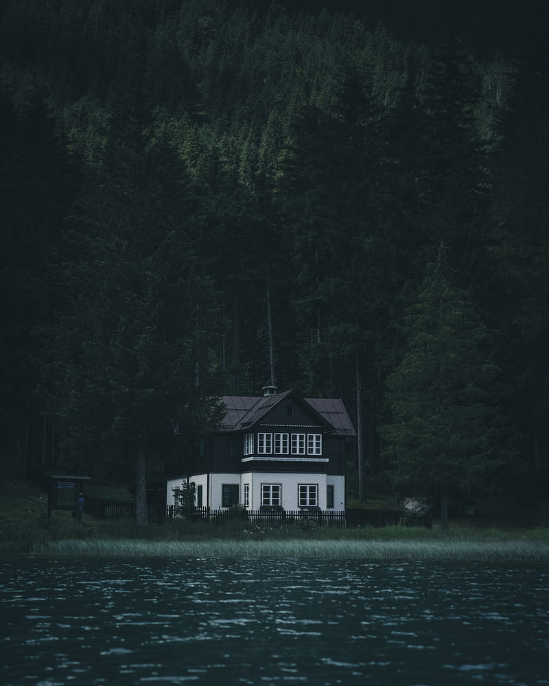 house, river, trees, forest, gloomy, solitude, silence, HD phone wallpaper