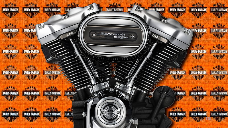 Harley Davidson Screaming Eage engine, Harley Davidson Motorcycles, Harley  Davidson, HD wallpaper | Peakpx