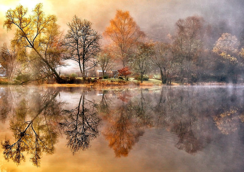 trees, reflection, water, nature, landscape, HD wallpaper