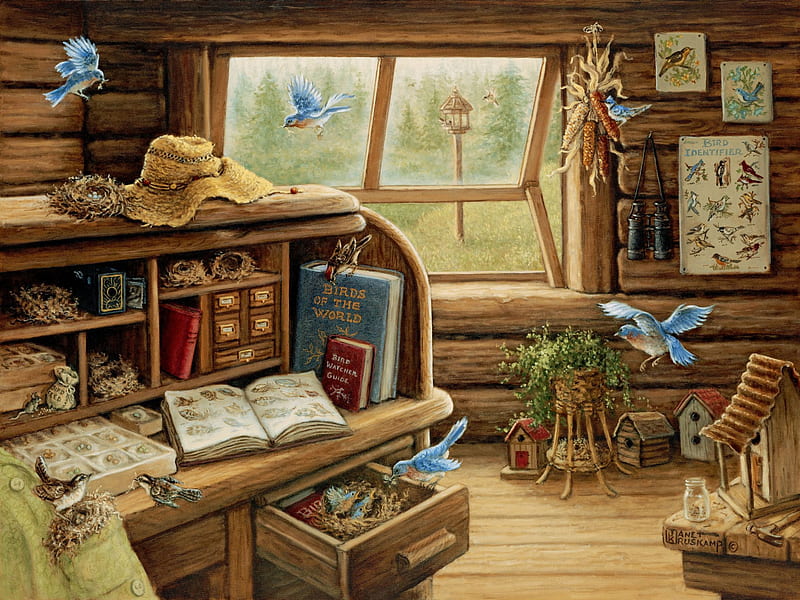 Birds of the World, window, books, glasses, writing desk, artwork, hat, HD wallpaper