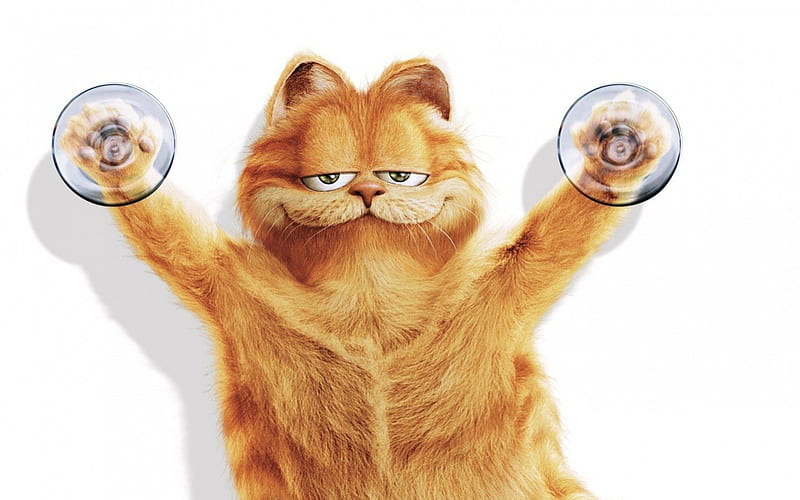 Garfield, movie, orange, funny, white, cat, ywllow, animal, HD wallpaper