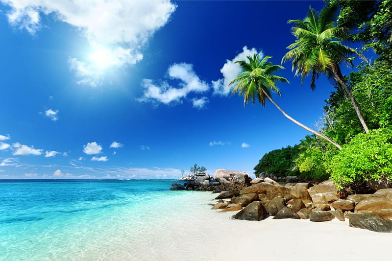 Tropical Coast, ocean, sky, palms, sea, beach, sand, paradise, summer, sunshine, tropics, tropical, coast, blue, HD wallpaper