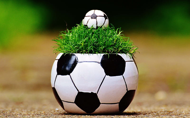 soccer ball, pot, green grass, football concept, HD wallpaper