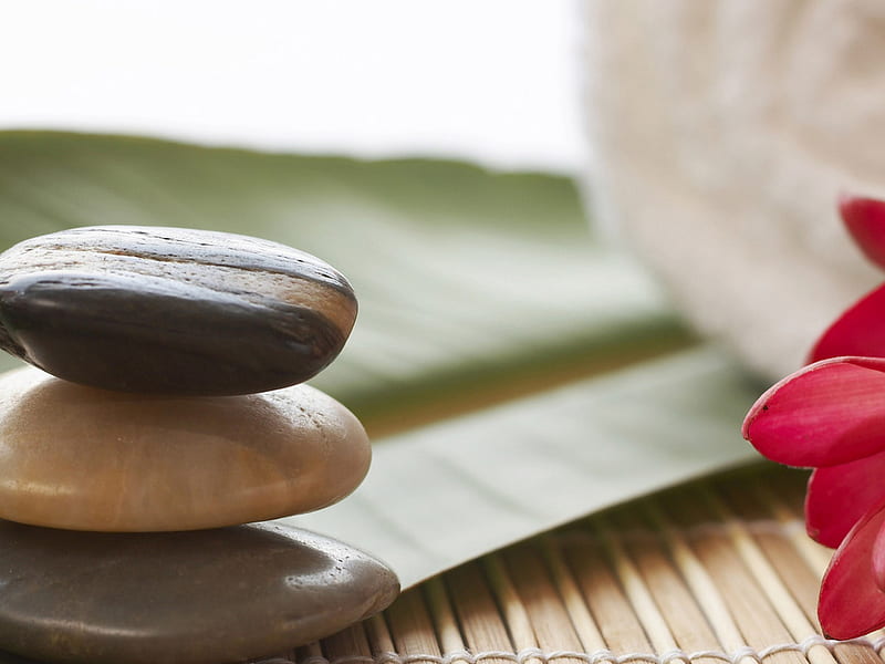 Rocks by the Window, rocks, three, ledge, red flower, HD wallpaper