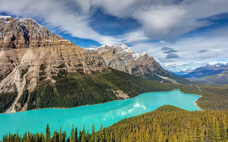 Alberta, Peyto Lake forest, mountains, Banff, North America, Canada, Banff National Park, HD wallpaper