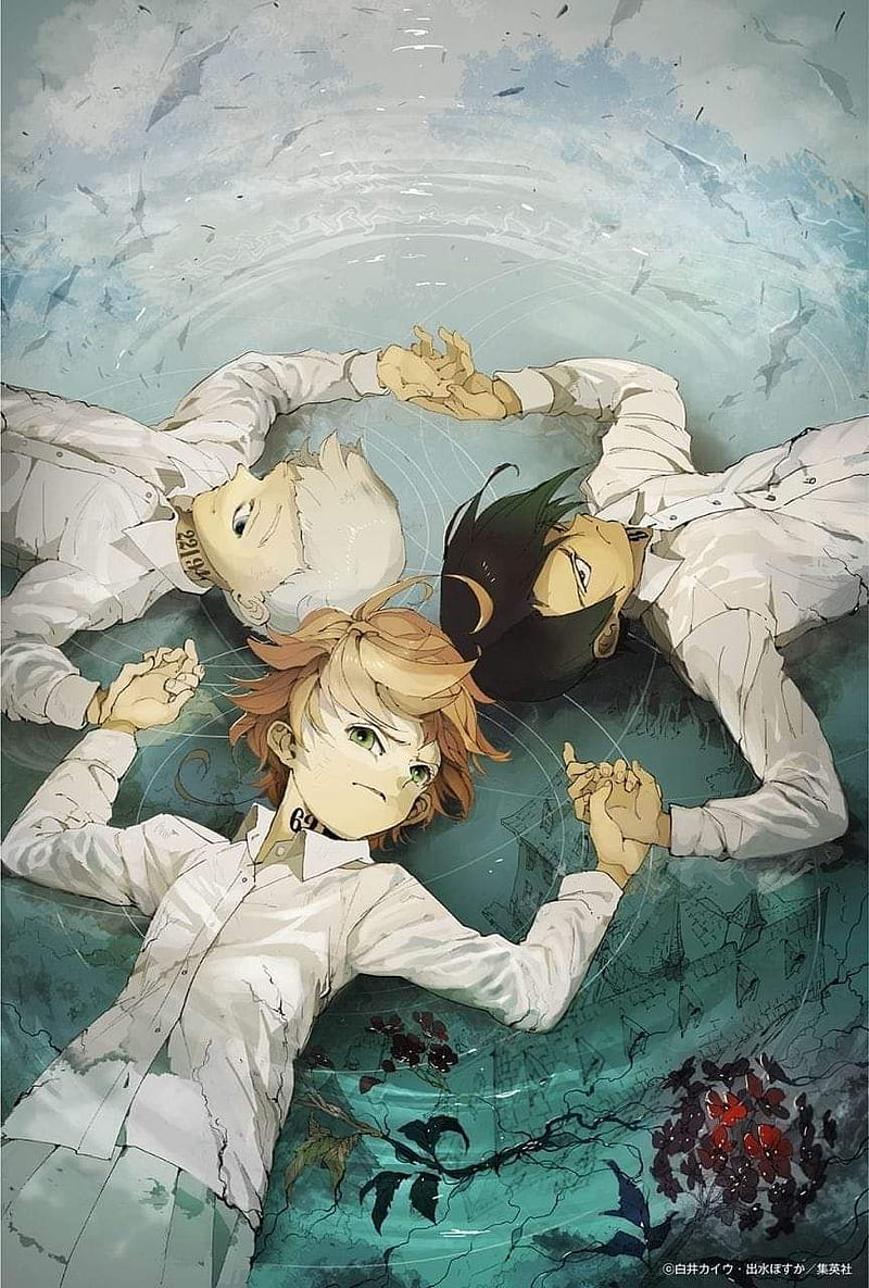 ThePromisedNeverland, emma, tpn, yakusuko no neverland, ray, the promised  neverland, HD phone wallpaper