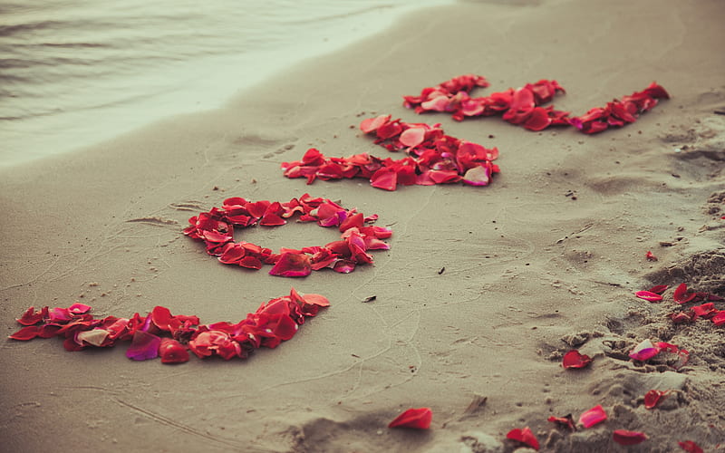 Love, petals of red flowers, declaration of love, idea, beach, sand, evening, sunset, HD wallpaper